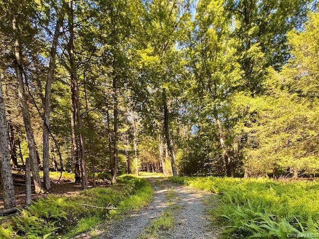 Property for sale in Pond Eddy, New York