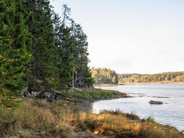Land for sale in Swans Island, Maine