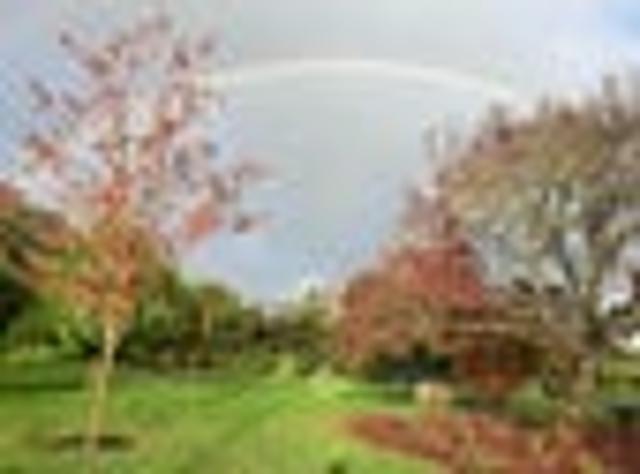 House for rent in Oratia