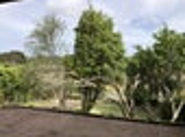 Apartment for rent in Oratia