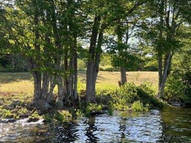 Land for sale in Waldo, Maine