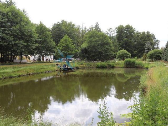 Grunt na sprzedaż w Gortatowo, Wielkopolskie
