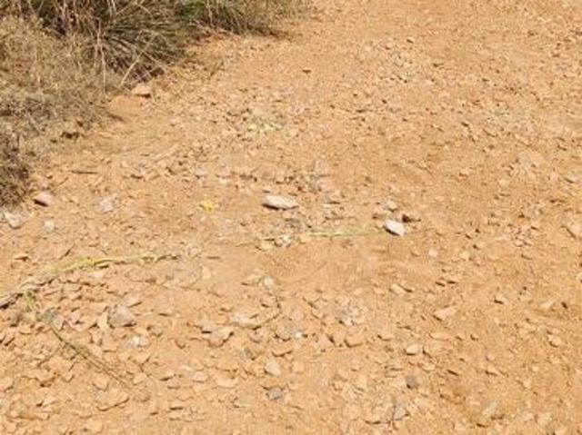 Land for sale in Sikar, Rajasthan