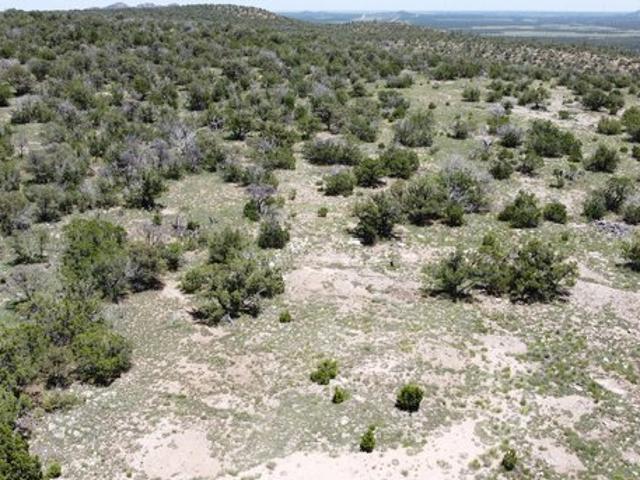 Land for sale in Corona, New Mexico