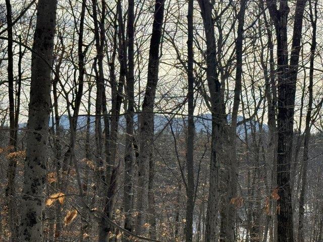 Land for sale in Bridgton, Maine