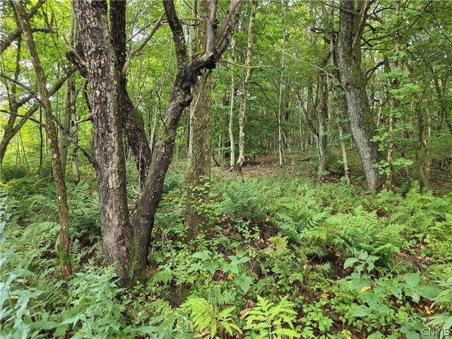 Land for sale in Constableville, New York
