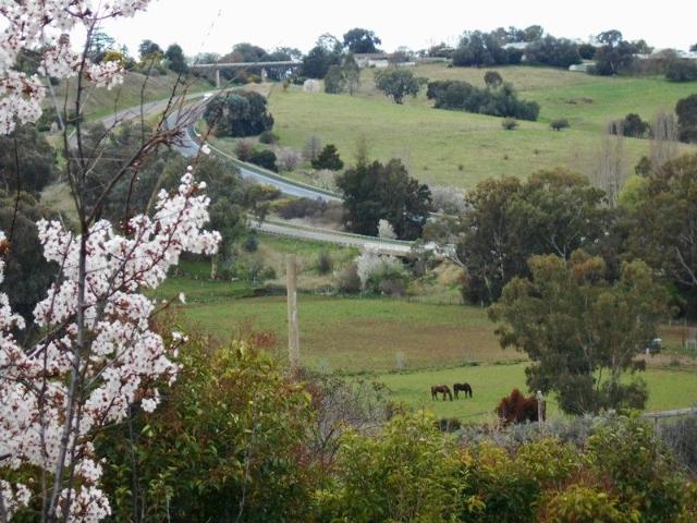 Land for sale in Gundagai, New South Wales