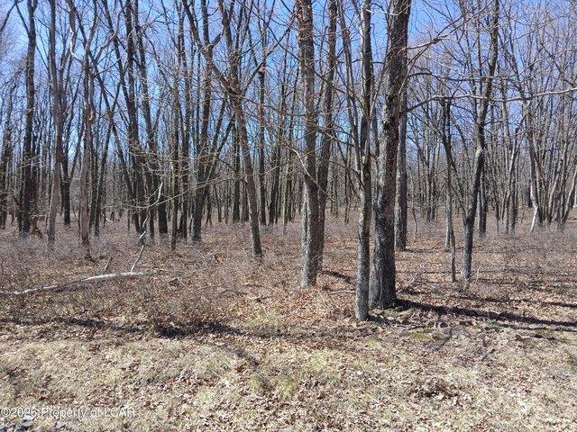 Land for sale in Harleigh, Pennsylvania