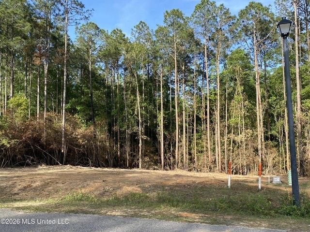 Land for sale in Carriere, Mississippi
