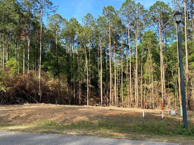 Land for sale in Carriere, Mississippi