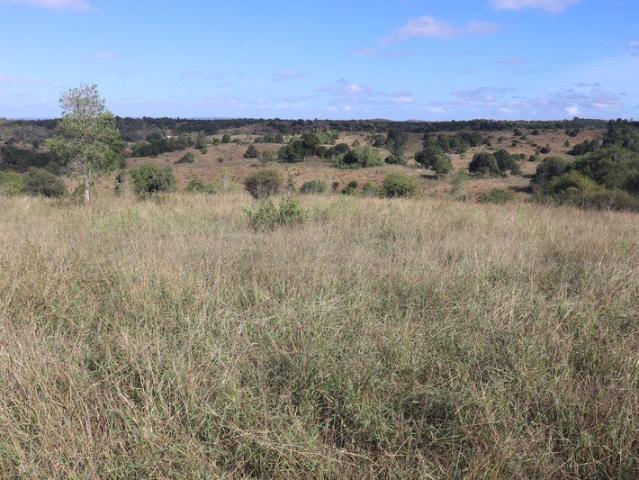 Cottage for sale in Mundowran, Queensland