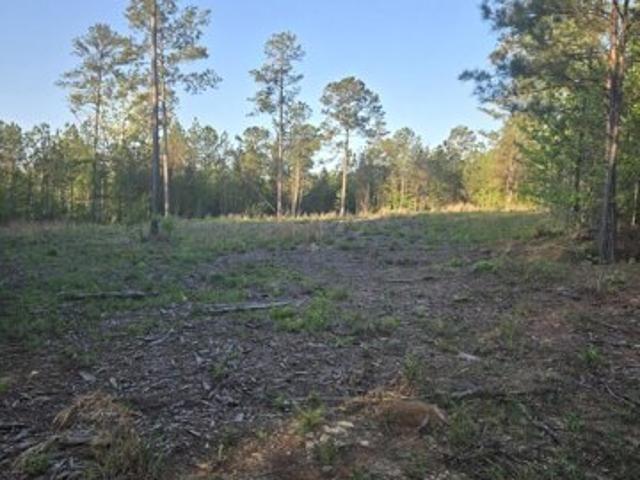 Land for sale in Lincolnton, Georgia