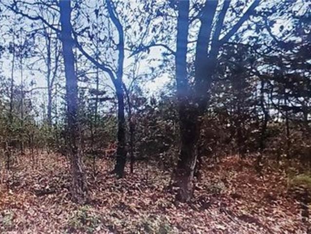 Land for sale in Dawsonville, Georgia
