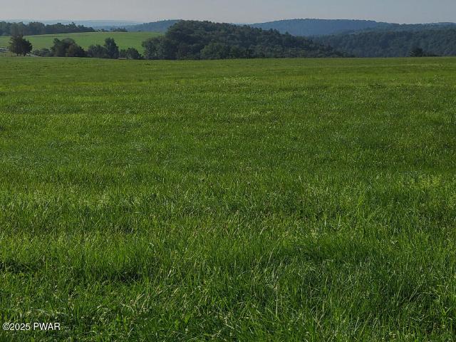 Land for sale in Equinunk, Pennsylvania