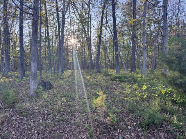 Land for sale in Shepherdstown, West Virginia