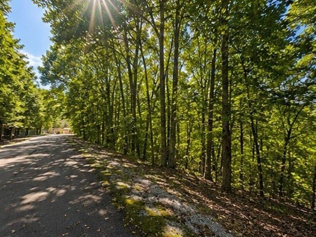 Land for sale in Tennessee