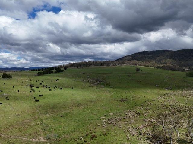 Cottage for sale in Krawarree, Queanbeyan-Palerang Regional Council