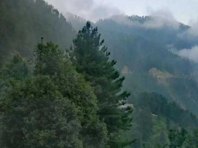 Apartment for sale in Islamabad