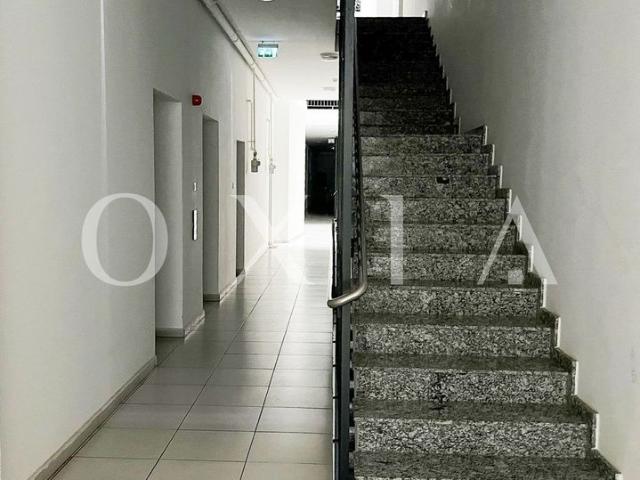 Apartament închirieri în Timisoara, Timiș
