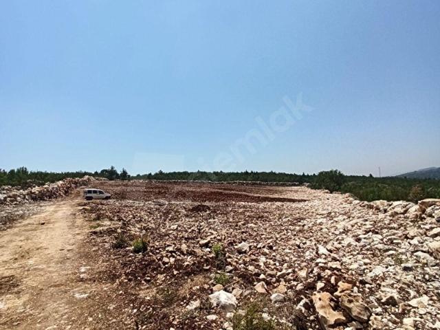 Tarsus, Mersin içerisinde satılık Arsa