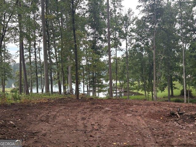 Land for sale in Sparta, Georgia