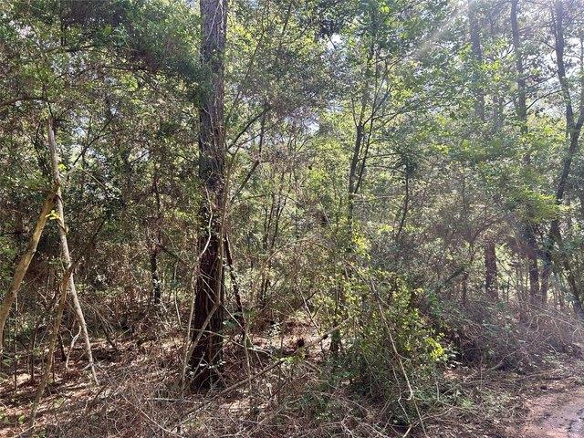 Land for sale in Plantersville, Grimes County