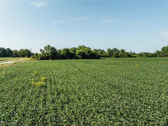 Land for sale in Centerburg, Knox County