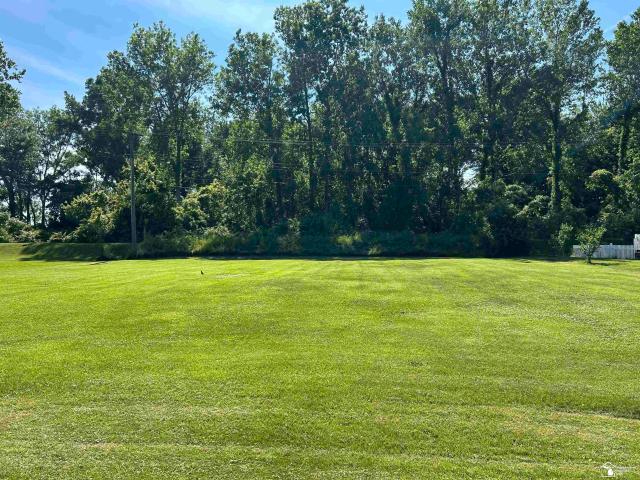 Land for sale in Newport, Michigan