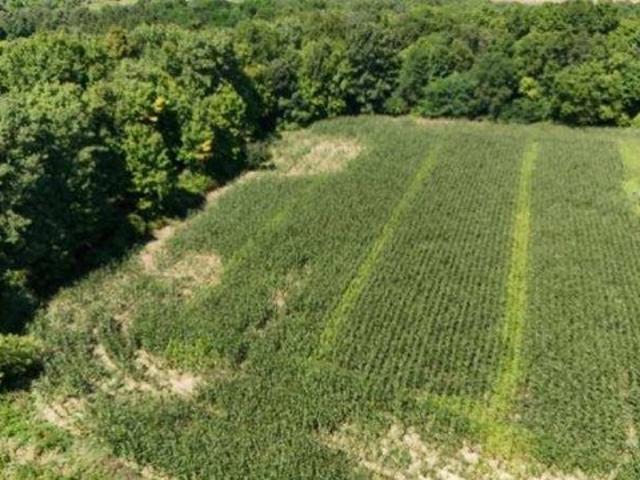 Land for sale in Dryden, Michigan