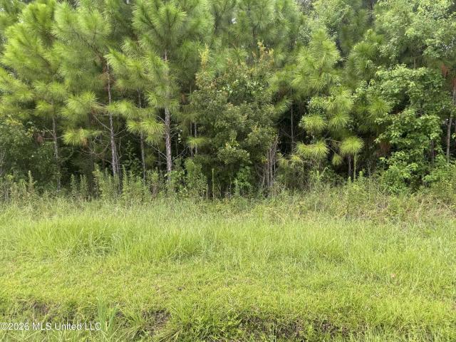 Land for sale in Waveland, Mississippi