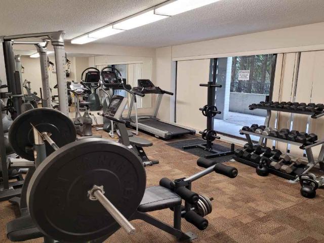 Apartment for rent in Coquitlam, British Columbia