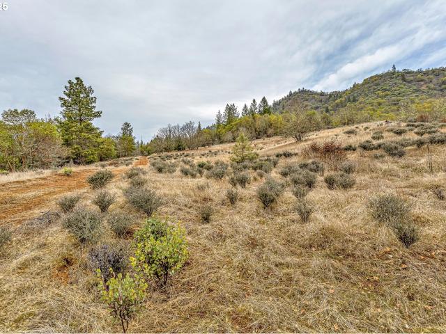 Land for sale in Oregonia