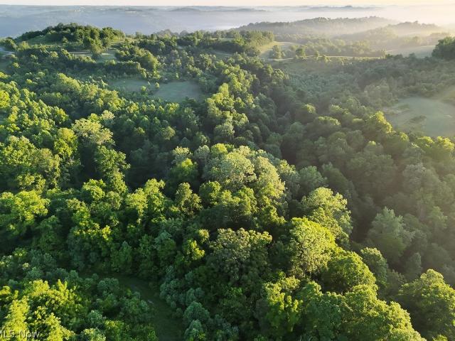 Land for sale in Clarington, Ohio
