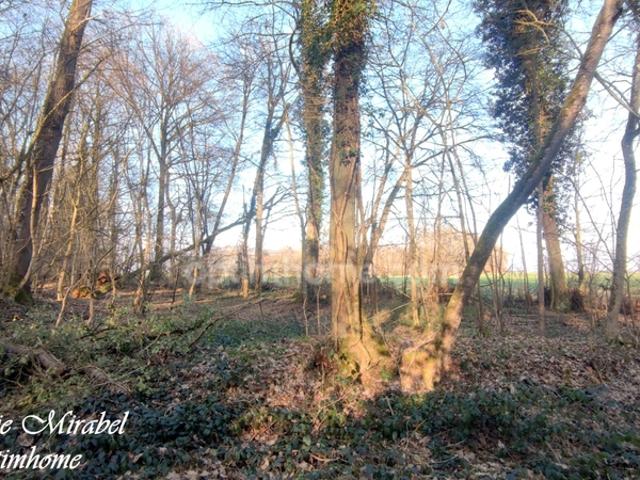 Terrain vente à Bernay, Sylvains-les-moulins