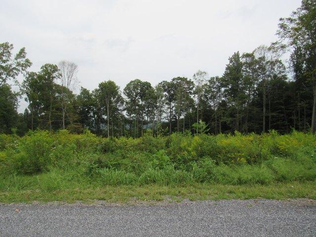 Land for sale in Reynoldsville, Pennsylvania