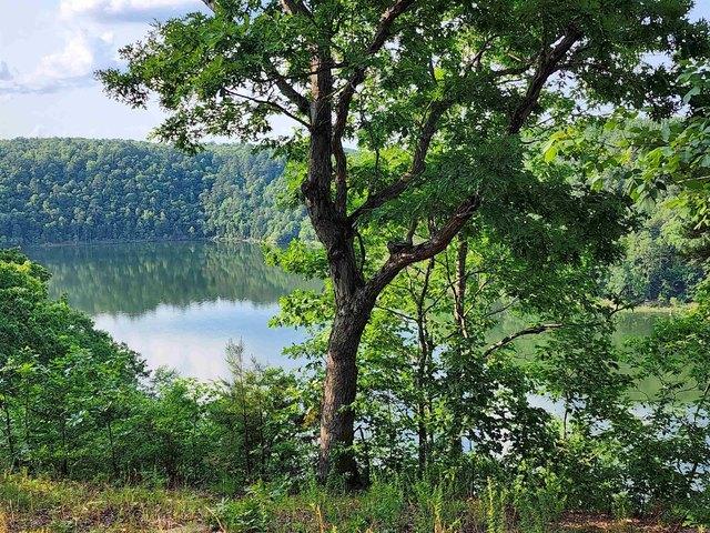Land for sale in Ark