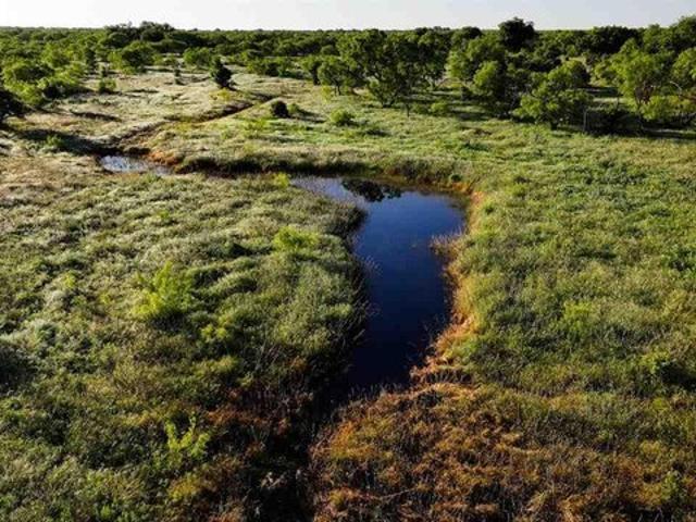 Farm for sale in Archer, Texas