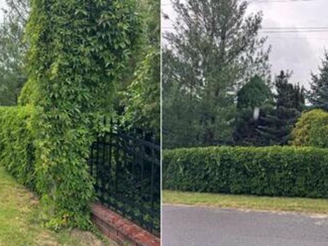 Grunt na sprzedaż w Sławno, powiat opoczyński