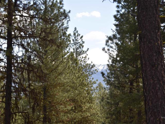 Land for sale in New Meadows, Adams County
