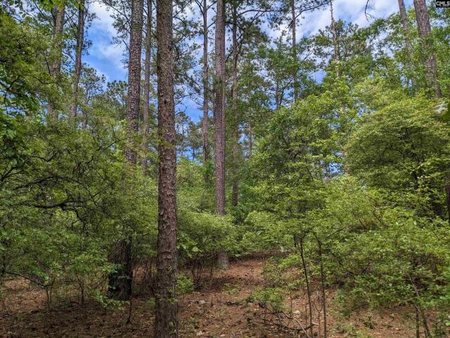 Land for sale in Ridgeway, South Carolina