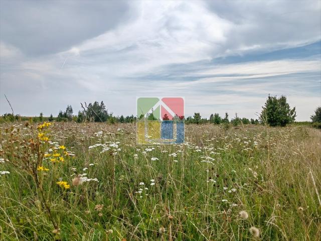 Grunt na sprzedaż w Teodorów, Mazowieckie