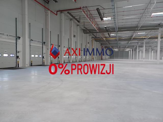Komercyjne do wynajęcia w Szczecin, Zachodniopomorskie