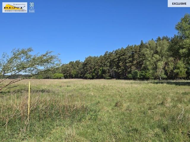 Grunt na sprzedaż w Szczecin, Zachodniopomorskie