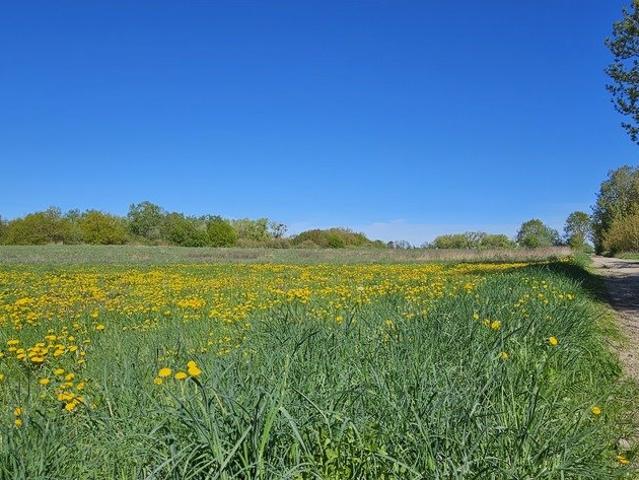 Grunt na sprzedaż w Szczecin, Zachodniopomorskie
