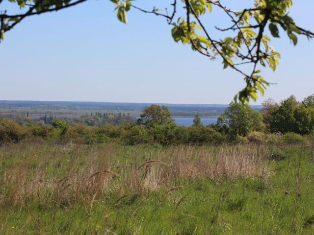 Grunt na sprzedaż w Szczecin, Zachodniopomorskie