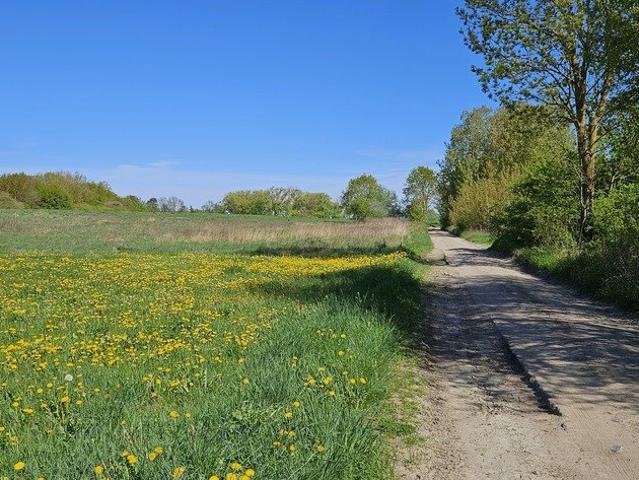 Grunt na sprzedaż w Szczecin, Zachodniopomorskie