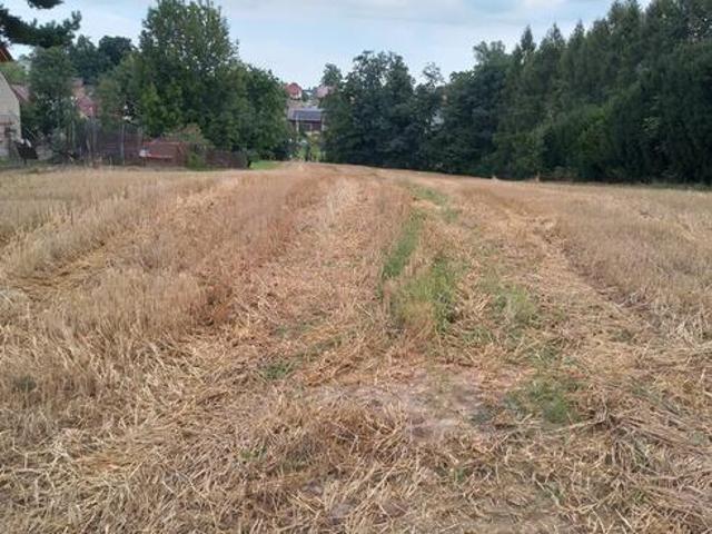 Grunt na sprzedaż w Gdów, Małopolskie