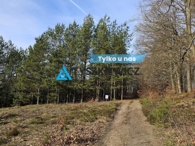 Grunt na sprzedaż w Szemud, Pomorskie