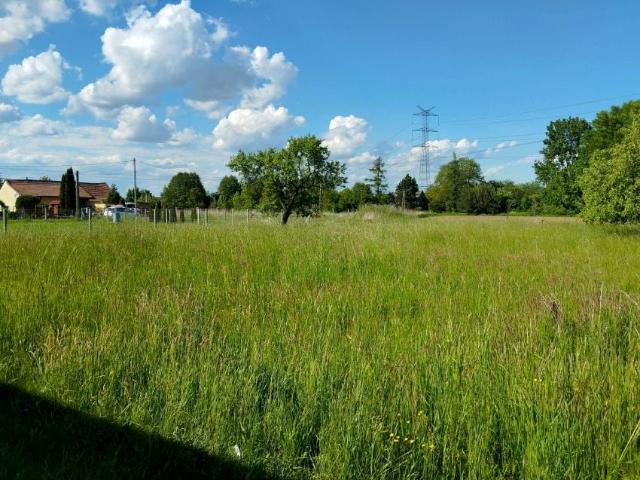 Grunt na sprzedaż w Radłów, Małopolskie