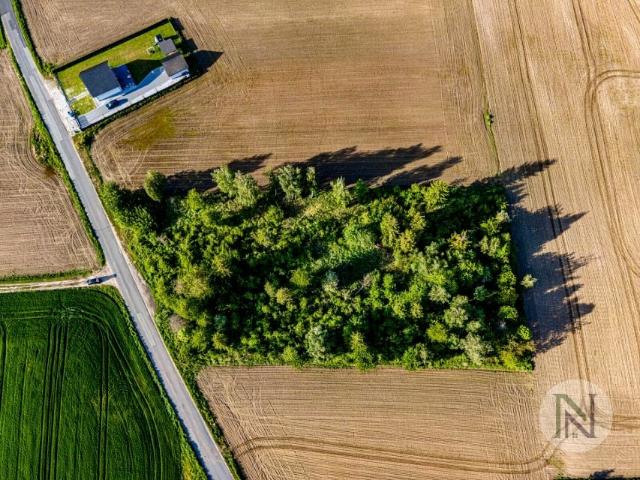 Grunt na sprzedaż w Oława, powiat oławski